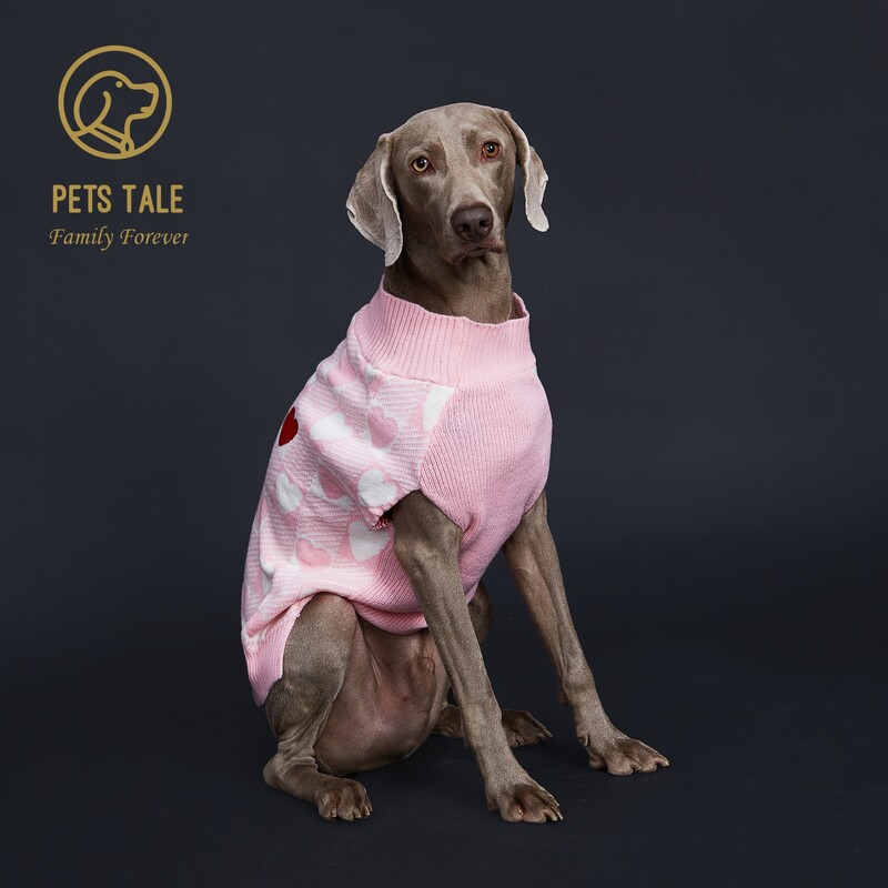 Buffalo Check Love-Heart Intarsia D-Ring Hole megztinis šunims