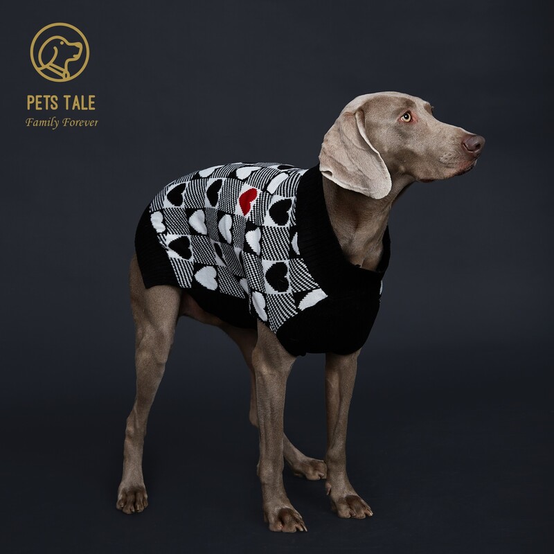 Buffalo Check Love-Heart Intarsia D-Ring Hole megztinis šunims