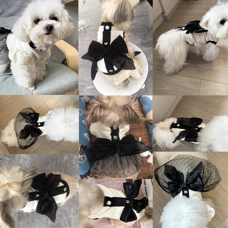 Vasaras suņu drēbes Bowknot Luksusa kleita kaķu princešu kleitas Čivavas Jorkas plānie, saldie svārki kucēnu kostīmi mājdzīvnieku piederumi