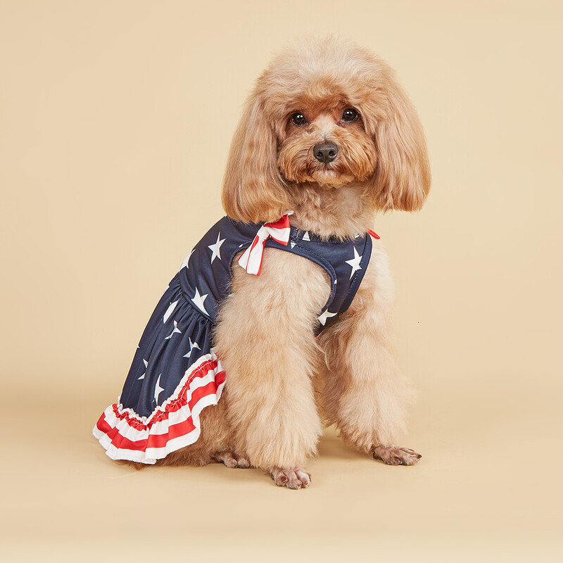 Dryžuoti marškiniai Mieli Bowknot Sundress American Flag Stars Printed Princess Summer Puppy Drabužiai Drabužiai su raukiniais Sma