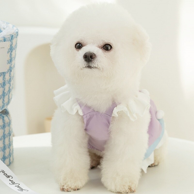 Haine de modă pentru câini Rochie de prințesă pentru câini de vară Rochie de prințesă cu fundă drăguță Fusta cățelușă Rochie cu mâneci zburătoare Îmbrăcăminte pentru câini Produse pentru animale de companie