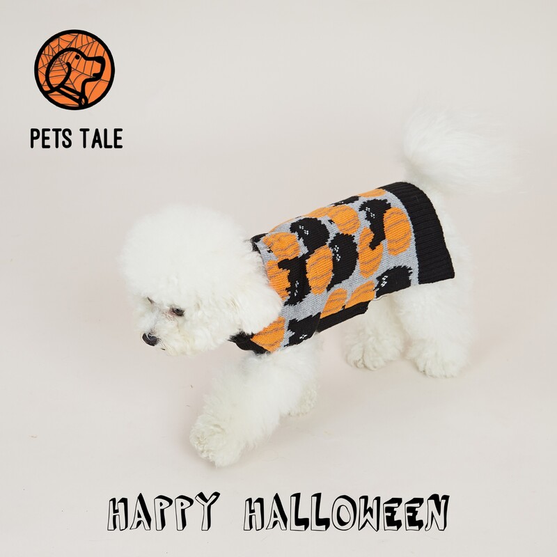 Pulover pentru câini cu guler dublu din dovleac și pisică de Halloween premium