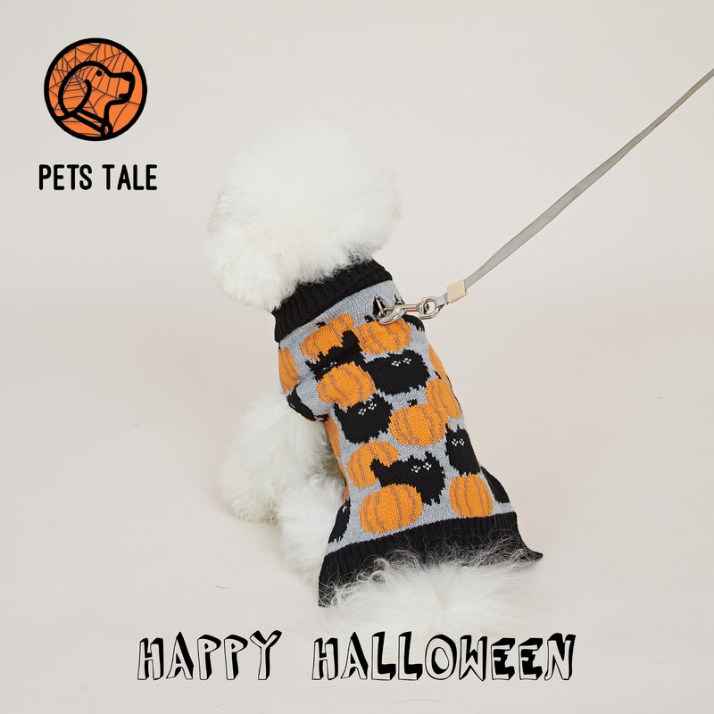 Pulover pentru câini cu guler dublu din dovleac și pisică de Halloween premium