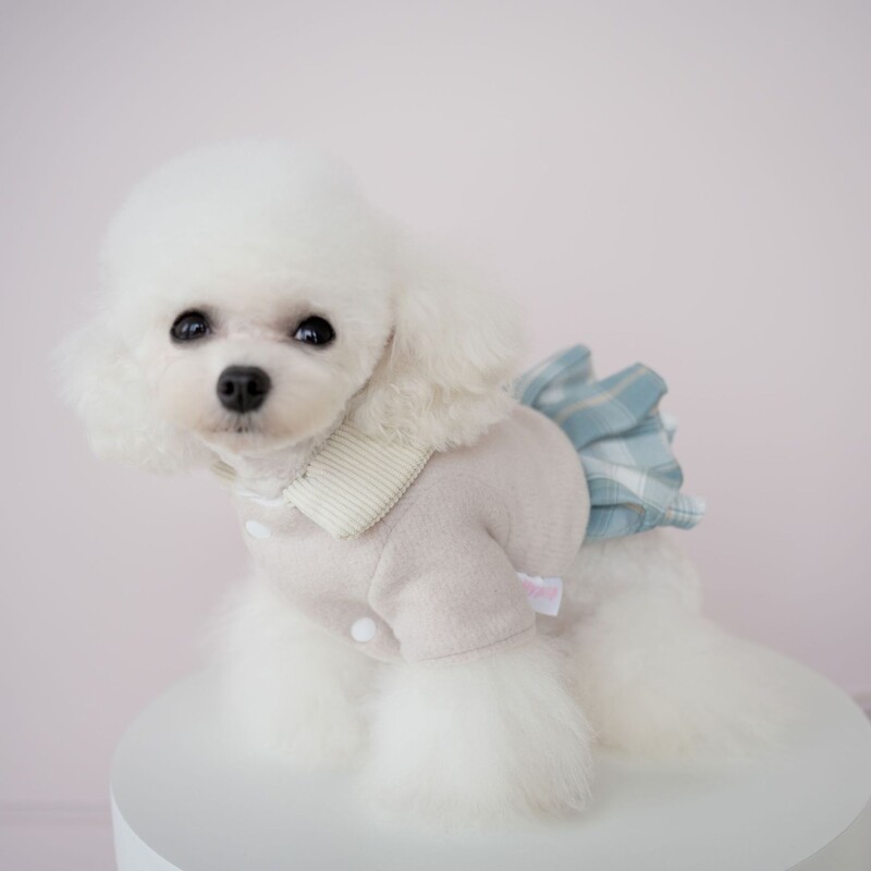 Naminių gyvūnėlių languota suknelė mažo šuns uniforma rudeniui ir žiemai šilti drabužiai meškiukas su dviem kojomis augintinio drabužiai šunų drabužiai mažiems šunims