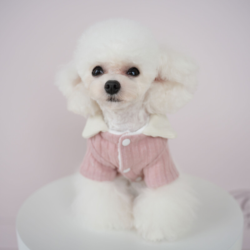 Naminių gyvūnėlių languota suknelė mažo šuns uniforma rudeniui ir žiemai šilti drabužiai meškiukas su dviem kojomis augintinio drabužiai šunų drabužiai mažiems šunims