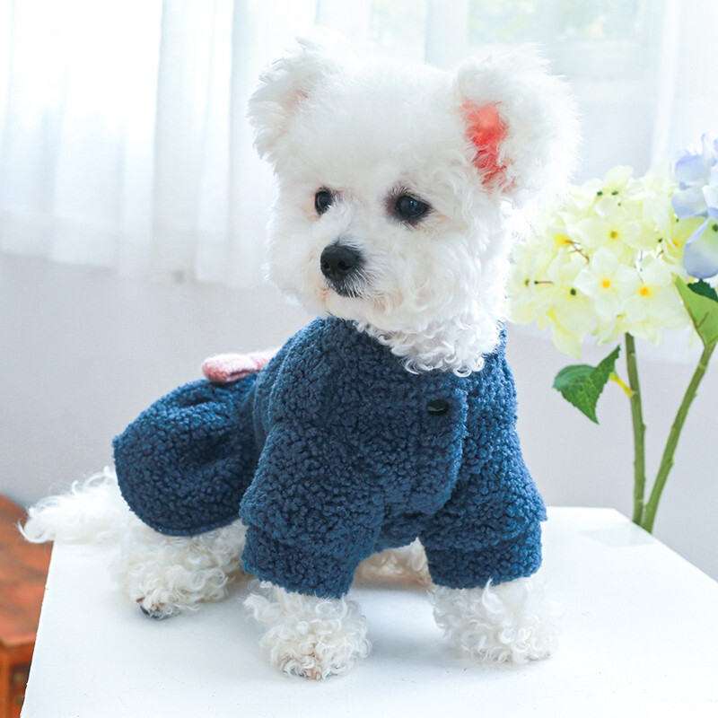 1vnt rūbai augintiniams pavasario ir rudens aksominės mėlynos spalvos kūdikių raidžių sijonas, tinkantis mažiems ir vidutinio dydžio šunims