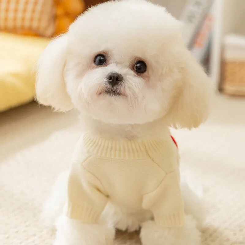 Vesela šarena abeceda, pulover za pse, jesen i zimu, topli pleteni mekani pulover, odjeća za kućne ljubimce za male i srednje pse