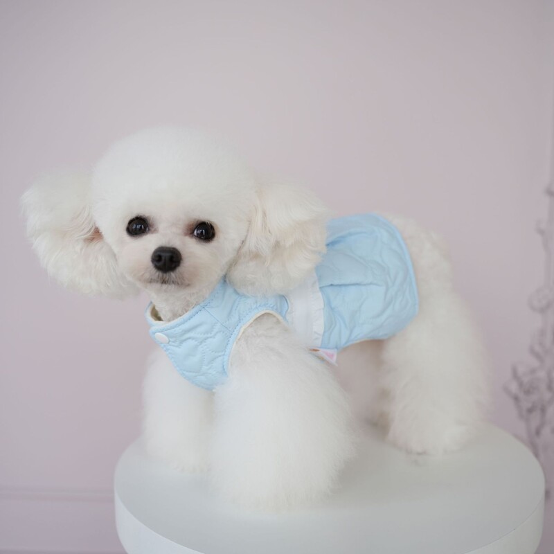 Rudens ir žiemos suknelė gyvūnams Nauji naminių šunų drabužiai Patogūs šilti drabužiai šuniukų šuniukų suknelės mažiems šunims