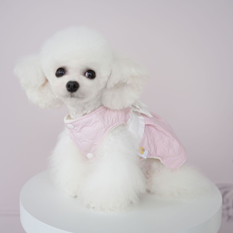 Rudens ir žiemos suknelė gyvūnams Nauji naminių šunų drabužiai Patogūs šilti drabužiai šuniukų šuniukų suknelės mažiems šunims