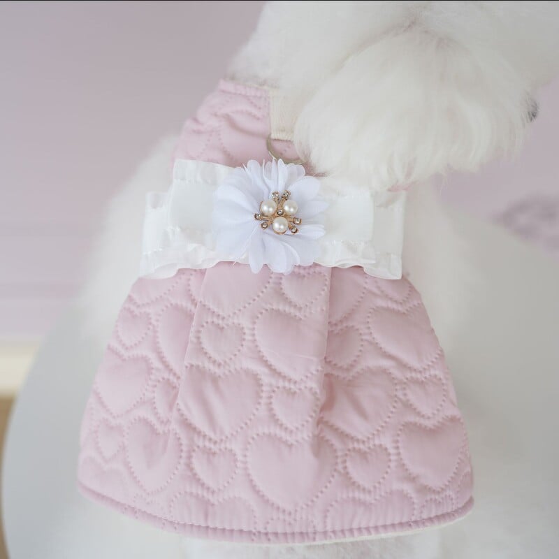 Rudens ir žiemos suknelė gyvūnams Nauji naminių šunų drabužiai Patogūs šilti drabužiai šuniukų šuniukų suknelės mažiems šunims