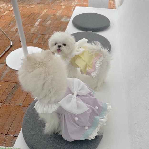 Summer Cake Dress Bow Bubble Dress Pomeranian Bichon Marzis York Thing Dress Odjeća za pse Haljina za mačke Haljina za male pse Haljine za mačke