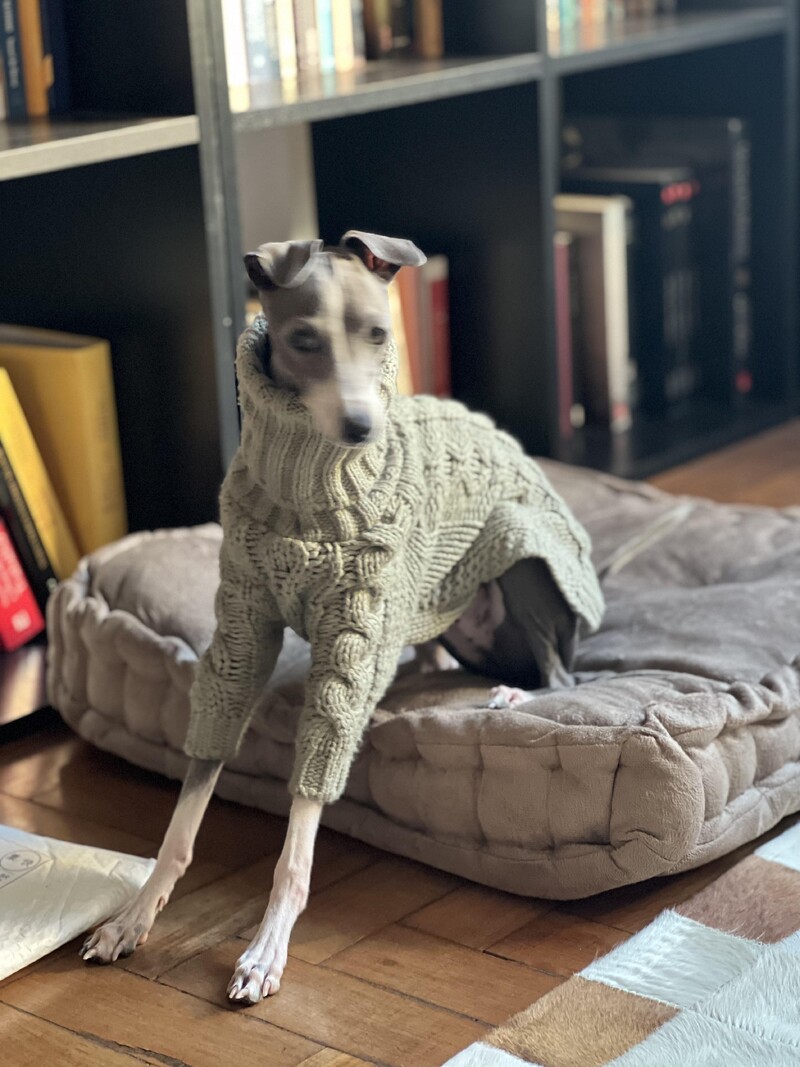 Iarnă caldă pentru animale de companie pulover îngroșat, elegant, cu gât țesut, haine pentru ogari italieni, pulover Whippet pentru animale de companie