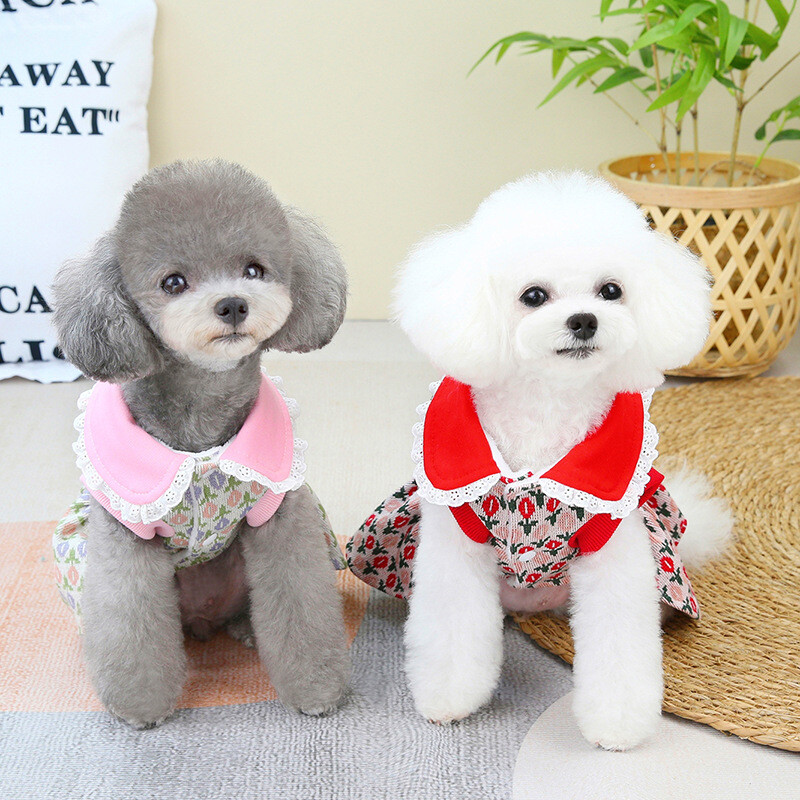 Îmbrăcăminte pentru câini pentru fete Haine drăguță pentru animale de companie XS 2XL Rochii Chihuahua Cu fundă Cățeluș Bichon Roșu Roz Accesorii Chihuahua