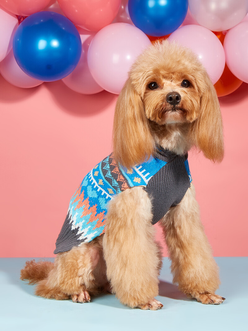 Šunų megztinis su plaukų kamuoliu, šiltas megztinis su skrybėle, šunų vėžlys mažiems šunims vidutinio dydžio šunims, megztas klasikinis megztinis katėms Do