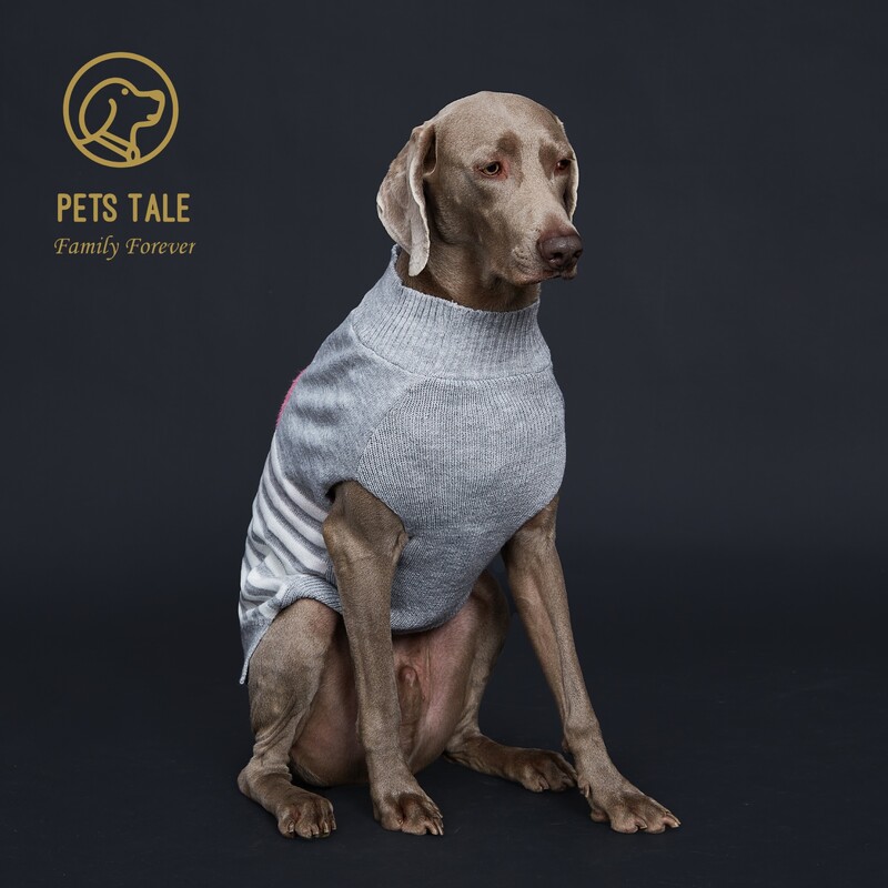 „Doggie`s“ pilkai dryžuotas rožinis dirbtinis audinės verpalų „Love-Heart“ megztinis su „D“ žiedo skylutėmis