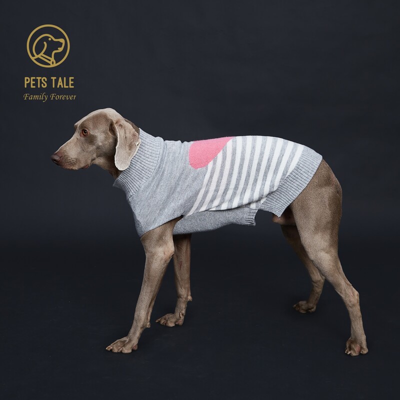 „Doggie`s“ pilkai dryžuotas rožinis dirbtinis audinės verpalų „Love-Heart“ megztinis su „D“ žiedo skylutėmis