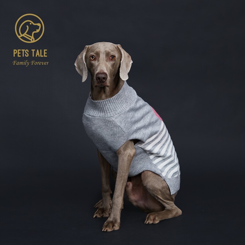 „Doggie`s“ pilkai dryžuotas rožinis dirbtinis audinės verpalų „Love-Heart“ megztinis su „D“ žiedo skylutėmis