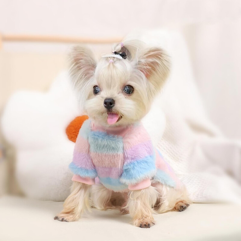 Rochii pentru câini de prințesă pentru câini de talie mică, fete, iarnă, cățeluș, pulover, haine, curcubeu, în dungi, caldă, fleece, rochie pentru animale de companie, fustă, îmbrăcăminte pentru pisici