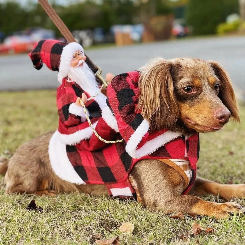 Moș Crăciun Animal de companie Haine de Crăciun Călărie reni Rochie de iarnă Manta pentru cățeluș Costum pentru câine Moș Crăciun Haine de Crăciun Dress Up