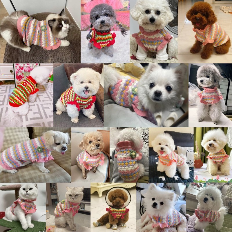 Žieminis šuns megztinis su gėlėmis Spausdinti šunų megztiniai Madingi šuniuko drabužiai Mieli minkšti katės megztiniai megztiniai šilti naminių gyvūnėlių kostiumai šunų drabužiai