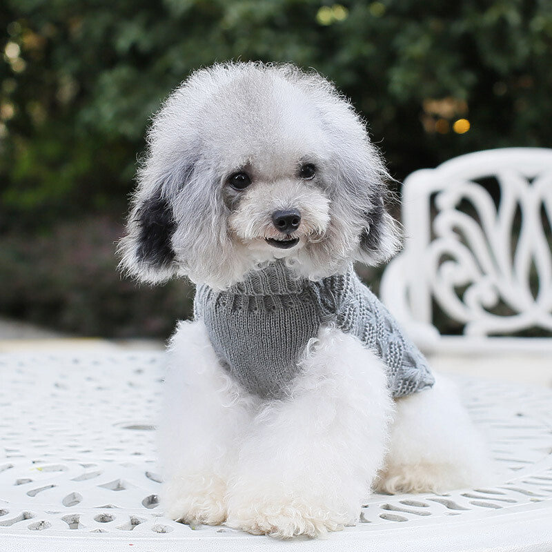 Mīlīgs pūdelis kucēnu apģērbs XS suns kaķis trikotāžas mājdzīvnieku džemperis veste Taksis džemperis maziem suņiem Džemperi bruņurupuču vilna