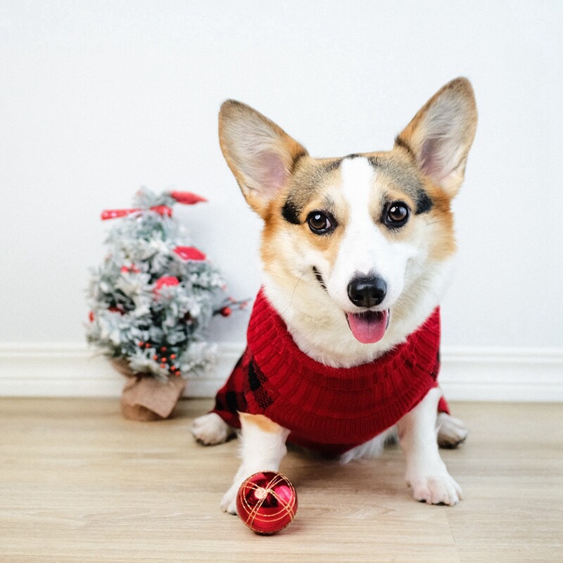 Drabužiai naminiams gyvūnėliams žieminiai, šilti megzti naminių gyvūnėlių drabužiai, patvarūs, minkšti megztiniai, kalėdiniai, puikūs, juokingi drabužiai naminių šuniukų vėžlys