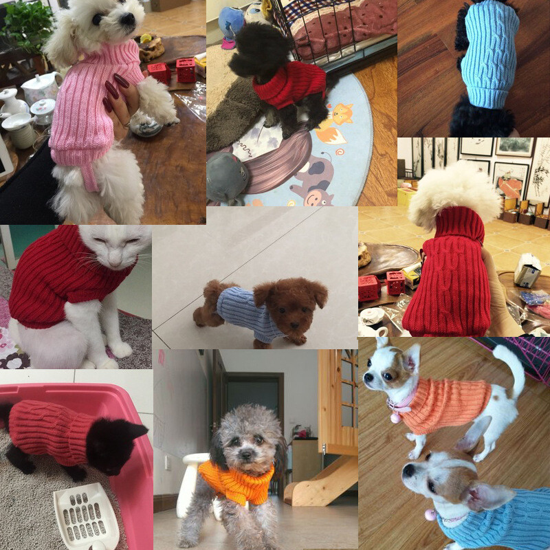 XXXS XXS XS Maza Čivavas džempera tējas krūze Maza rotaļlieta Mini šķirnes kucēnu suņa kažoks