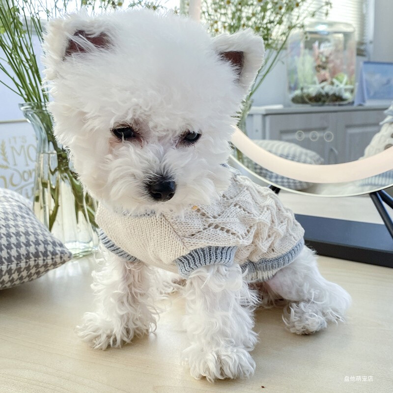 1PC îmbrăcăminte pentru animale de companie, toamnă, pisică, toamnă, iarnă, albastru, tricotat cu fundă, pulover elastic, potrivit pentru câini mici și mijlocii