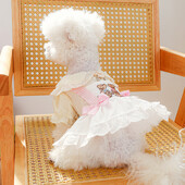 1PC îmbrăcăminte pentru animale de companie de primăvară/vară subțire urs cântec de dans rural rochie de prințesă potrivită pentru câini mici și mijlocii