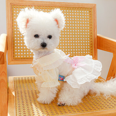 1PC îmbrăcăminte pentru animale de companie de primăvară/vară subțire urs cântec de dans rural rochie de prințesă potrivită pentru câini mici și mijlocii