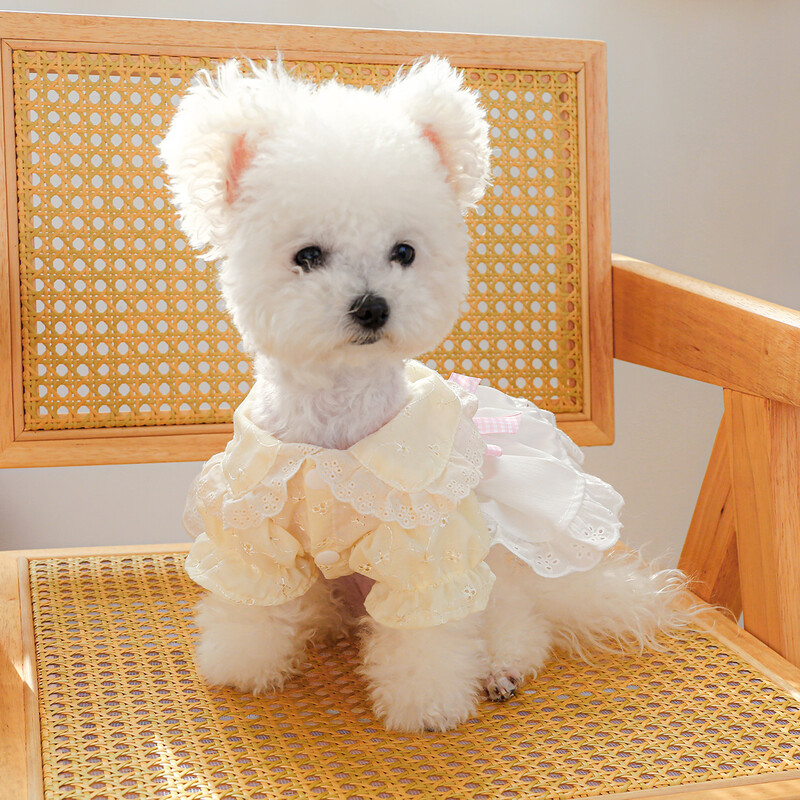 1PC îmbrăcăminte pentru animale de companie de primăvară/vară subțire urs cântec de dans rural rochie de prințesă potrivită pentru câini mici și mijlocii