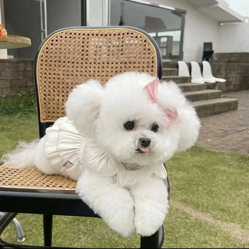 Kutya hercegnő ruha tavaszi nyár macska szoknya fényvédő rózsaszín masni Teddy bichon pomerániai hercegnő szoknya kiskutya aranyos ruha XS-XL