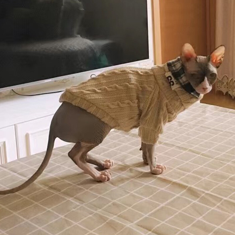 Haine cu gâtul pentru animale de companie pentru câini de talie mică, pisici, iarnă, căldură, pulover pentru câini, pulovere teckel, cățeluș, pisică, animale, îmbrăcăminte, jersey perro
