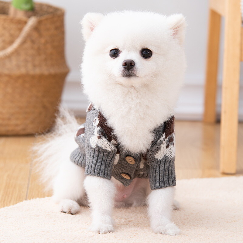 Mielas meškiukas užsegamas šunų megztinys, jaukus ir prašmatnus poliesterio megztinis, žiemos šiluma mažoms veislėms