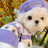 Gražus gėlių megztinis naminiams gyvūnėliams Žiemos šuniuko šilti drabužiai Bichon Frise Meškiukas Dviejų kojų drabužiai Maltos minkštas megztinis