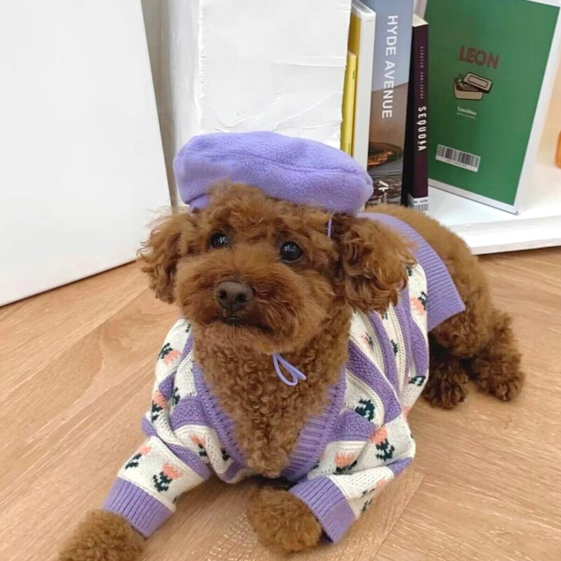 Gražus gėlių megztinis naminiams gyvūnėliams Žiemos šuniuko šilti drabužiai Bichon Frise Meškiukas Dviejų kojų drabužiai Maltos minkštas megztinis
