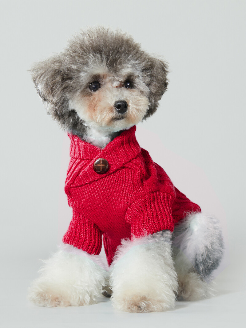 UFBemo Maži dideli katės drabužiai šuniui Megztinis Džemperis Džersis Žiemos Šiltas Šuniukas Čihuahua Taksas Kalėdinis vėžlys