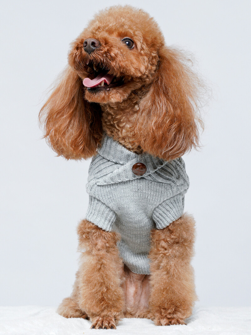 UFBemo Maži dideli katės drabužiai šuniui Megztinis Džemperis Džersis Žiemos Šiltas Šuniukas Čihuahua Taksas Kalėdinis vėžlys