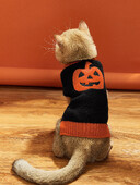 Drabužiai naminiams gyvūnėliams Helovyno moliūgų katės megztinis šuniui, šunų trikotažas, šunų drabužiai, naminiai megztiniai