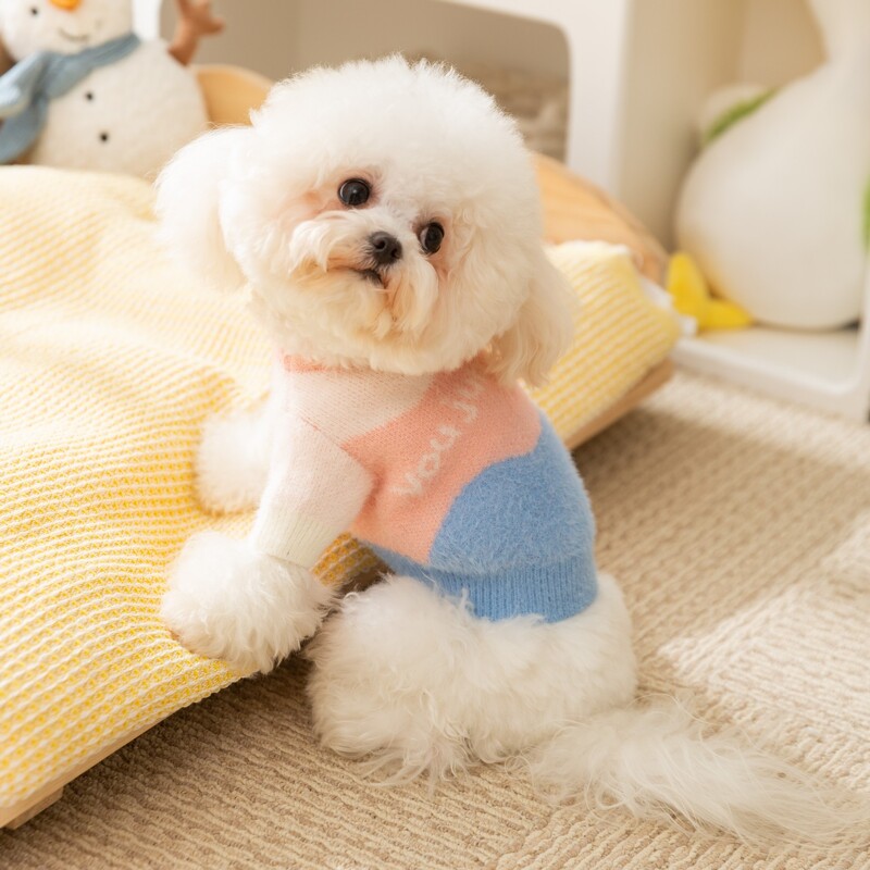 Creative Wave Stripe Šuns megztinis Mažas Šuns Žieminiai Drabužiai Naminiams gyvūnėliams Šilti Dviejų Kojų Ilgomis Rankovėmis Teddy Pastorintas Megztinis
