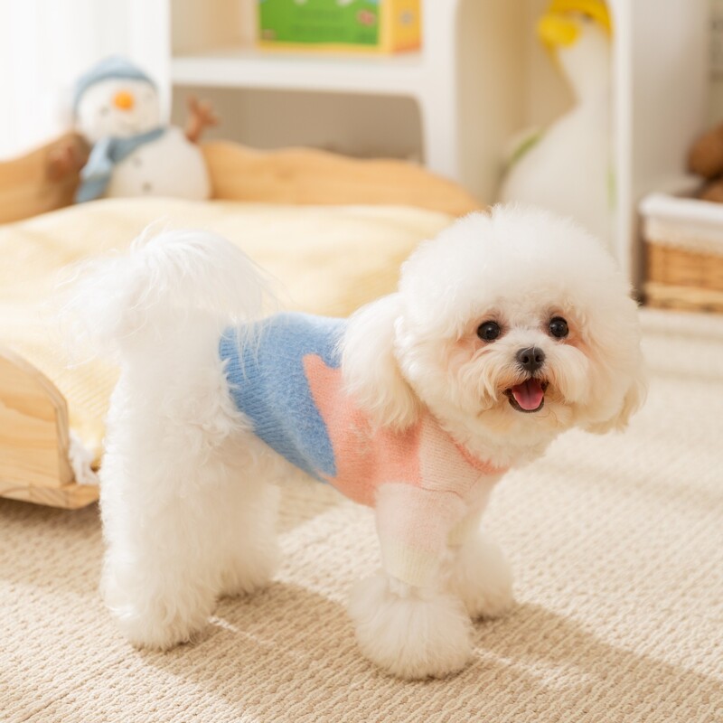 Creative Wave Stripe Šuns megztinis Mažas Šuns Žieminiai Drabužiai Naminiams gyvūnėliams Šilti Dviejų Kojų Ilgomis Rankovėmis Teddy Pastorintas Megztinis