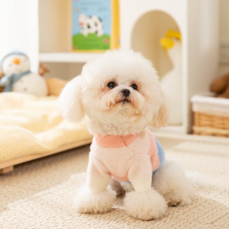 Creative Wave Stripe Šuns megztinis Mažas Šuns Žieminiai Drabužiai Naminiams gyvūnėliams Šilti Dviejų Kojų Ilgomis Rankovėmis Teddy Pastorintas Megztinis