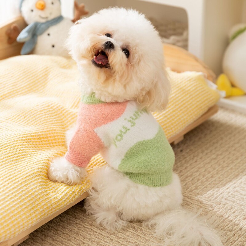 Creative Wave Stripe Šuns megztinis Mažas Šuns Žieminiai Drabužiai Naminiams gyvūnėliams Šilti Dviejų Kojų Ilgomis Rankovėmis Teddy Pastorintas Megztinis