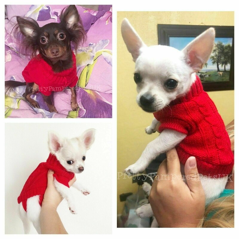 1 dalies megztiniai drabužiai XXXXS XXXS XXS mažam šuniukui YORKIE Maltos čihuahua