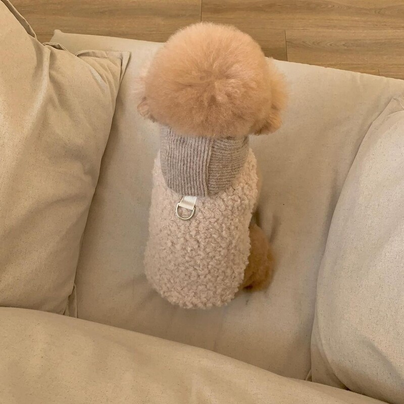 Mājdzīvnieks divkājains ar cepuri mētelis Modes dizains mazs un vidējs suns ziemas silti kostīmi kucēns mājdzīvnieku kokvilnas drēbes čivavas veste