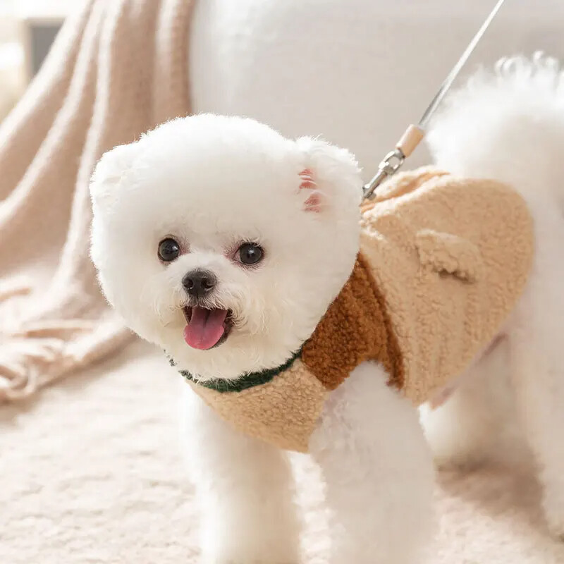 Jachetă maro pentru animale de companie Toamnă și iarnă Câine Cardigan cu două picioare Cățeluș Îmbrăcăminte caldă Teddy Haine de modă Palton pentru animale de companie S-XL