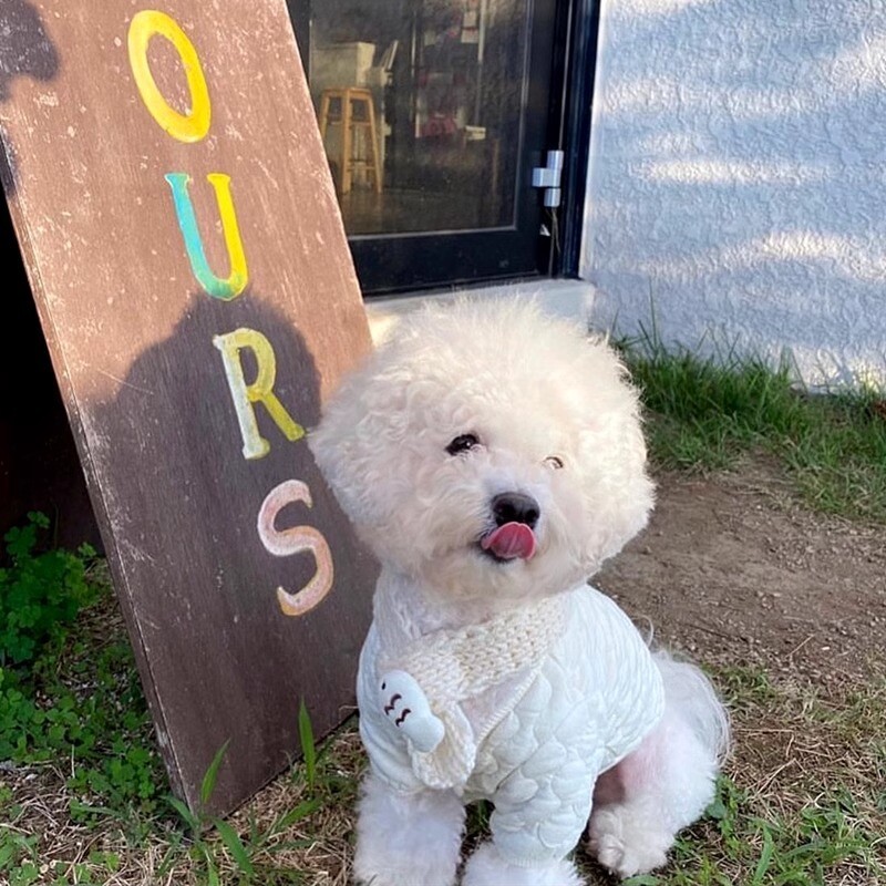Stori šilti naminių gyvūnėlių medvilnės drabužiai kačių drabužiai šunų drabužiai naminių gyvūnėlių drabužiai naminių gyvūnėlių reikmenys naminių gyvūnėlių priedai kačių reikmenys šunų kostiumai
