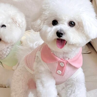 Šuniuko vasaros drabužiai 2024 m. šunų polo marškinėliai naminiams gyvūnėliams mažo šuns katės šunų vėsinimo liemenė Chihuahua Yorkie Bichon drabužiai mergaičių šunų marškinėliai