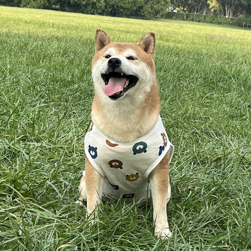 Šuns pavasario vasaros drabužiai šunų liemenė Mieli marginti naminių gyvūnėlių drabužiai šunų marškinėliai vidutinio dydžio šuniui augintinio drabužiai megztiniai šuns kostiumas