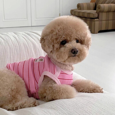 Urs cu dungi Vesta pentru animale de companie Haine cool pentru câini de vară Bichon Frise Pomeranian Pulover casual Teddy drăguț haine cu două picioare
